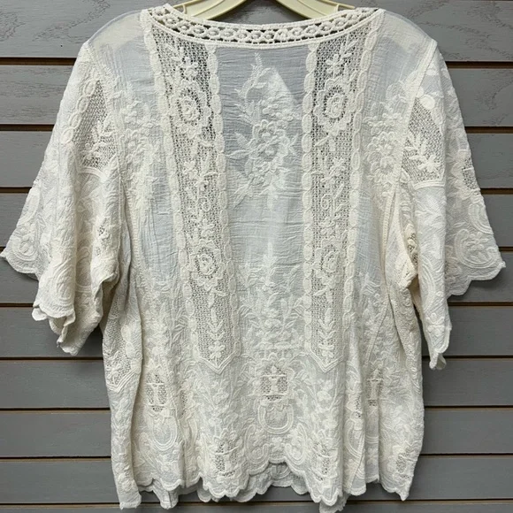 Democracy Cream Lace V-Neck Blouse - Picture 6 of 6